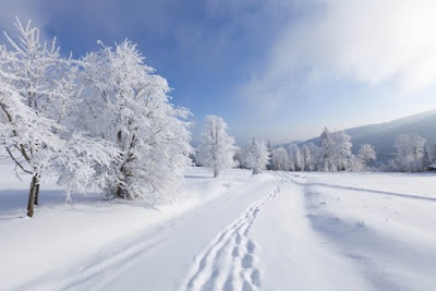 10 astuces pour un hiver serein et en pleine forme